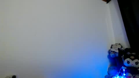 kelly  kata Lovense is on PVT ALWAYS OPEN  online show from July 2026 07:23:02 AM