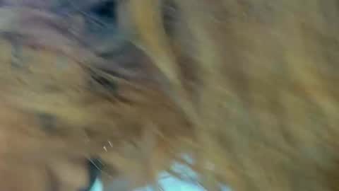 Kendal  online show from November 2025 09:28:01 PM