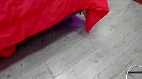 Kendra London online show from February 2026 11:28:02 AM