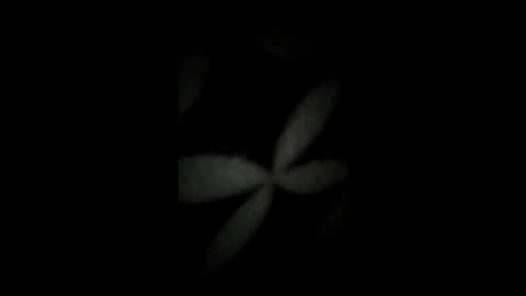 kenzo6140 online show from April 2026 12:33:01 AM