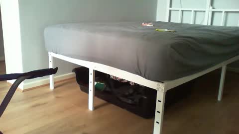 Daddyo online show from February 2026 11:00:02 AM