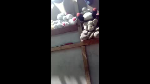 kevin_07279101 online show from March 2026 04:40:01 AM