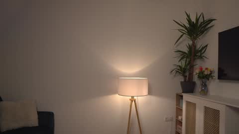 Kevin online show from January 2025 11:46:01 AM