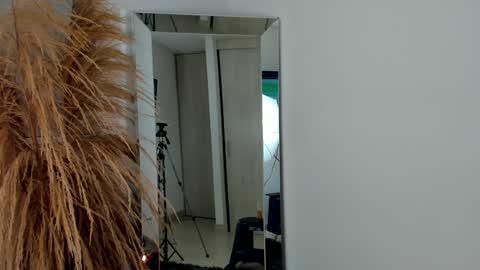 Snapshot of kevinxblack chatting on December 2024 02:09:01 AM sebastian online show from December 2024 02:09:01 AM