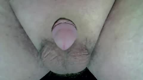 maggot online show from April 2026 11:02:01 PM