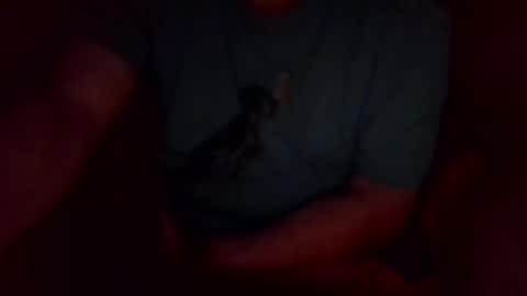 Snapshot of khw444 chatting on September 2025 10:49:01 AM jesse444 cum show online show from September 2025 10:49:01 AM