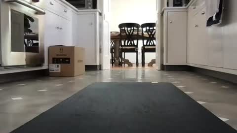 Kicknbutt online show from February 2026 08:52:01 PM