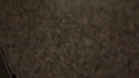 Kilo Carter online show from May 2026 04:54:01 AM
