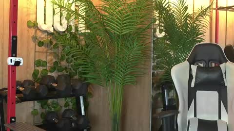 Kim online show from May 2026 12:56:02 PM