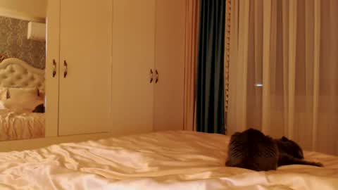 Kim Lee  online show from December 2024 07:14:02 PM