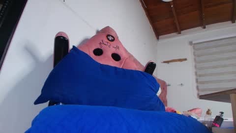 Bella online show from January 2025 03:04:02 AM