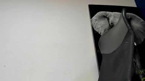 Angel Falconer online show from November 2025 02:10:01 AM