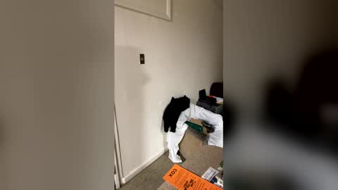 Snapshot of kingecstasyxxxddd chatting on January 2026 08:51:02 AM kingecstasyxxxddd online show from January 2026 08:51:02 AM