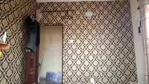 kingemizzy online show from February 2026 08:08:02 AM