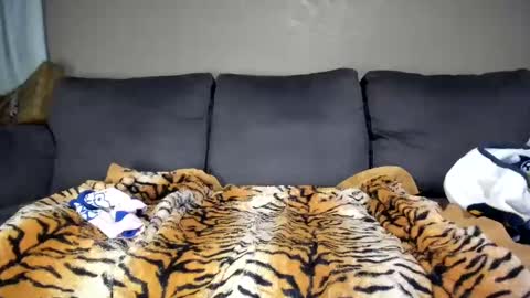 Kinky online show from February 2025 12:16:01 PM