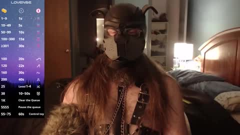 kinkywolf87 online show from December 2024 07:21:01 AM