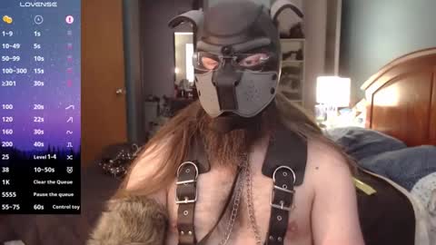 kinkywolf87 online show from December 2024 06:23:02 PM