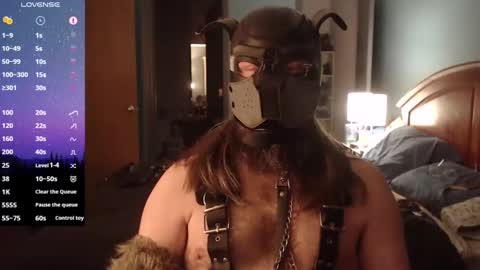 kinkywolf87 online show from January 2025 06:06:02 AM