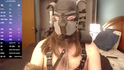 kinkywolf87 online show from February 2025 10:18:02 PM