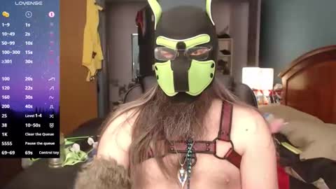 kinkywolf87 online show from February 2026 07:39:01 PM