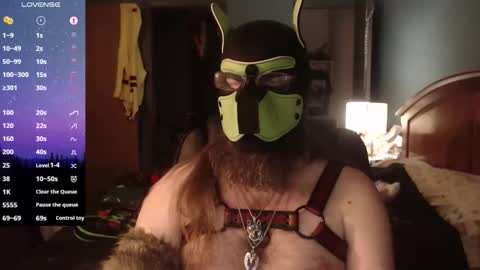 kinkywolf87 online show from April 2026 04:21:02 AM