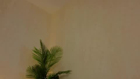 Snapshot of kirabesser chatting on February 2026 10:15:02 AM kirabesser online show from February 2026 10:15:02 AM