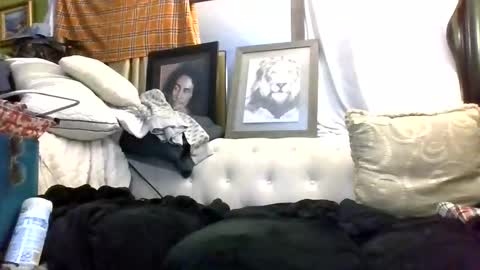 Snapshot of kishan2525 chatting on March 2026 09:06:02 AM Kishan2525 online show from March 2026 09:06:02 AM