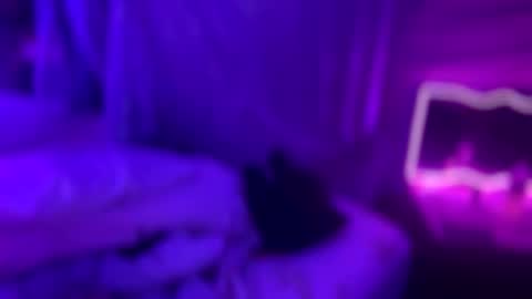 Kissah Kreampuff online show from January 2026 03:09:01 AM