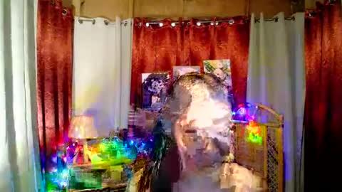 VICTORIA online show from July 2026 09:23:01 AM