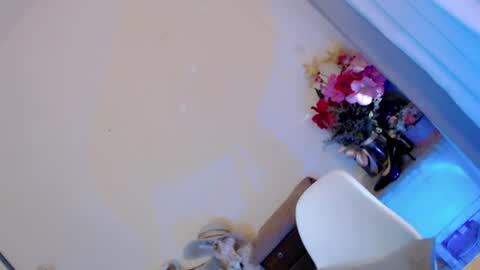 Saint Onicka online show from June 2026 12:06:02 AM