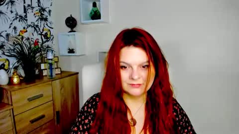 Kitten online show from May 2026 06:19:02 AM