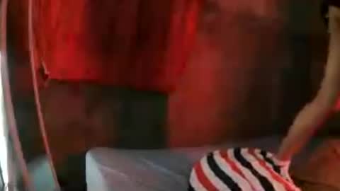 kitty_pussy0416 online show from June 2026 02:06:01 PM