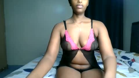Kittypettite online show from May 2026 01:16:02 PM