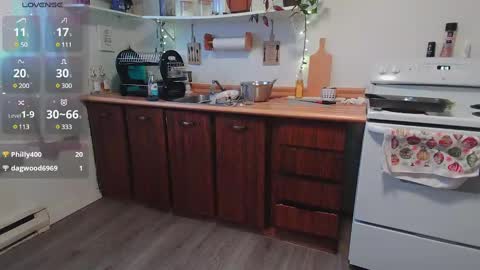 Kittyymaze online show from January 2025 01:14:01 PM