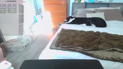 Kittyymaze online show from January 2025 04:50:02 PM