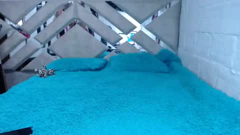 kittyzevee_ online show from February 2025 01:11:01 AM