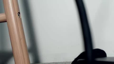 kiwibulge123 online show from June 2026 07:54:02 AM