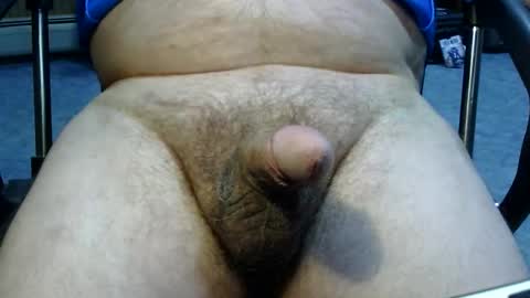 kji2249 online show from April 2026 02:44:01 PM