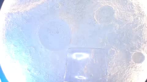 Snapshot of kloee_12 chatting on September 2025 12:05:02 PM K L O E online show from September 2025 12:05:02 PM