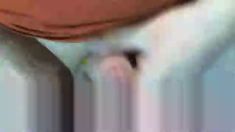 Snapshot of klok8230 chatting on February 2026 08:27:01 PM klok8230 online show from February 2026 08:27:01 PM