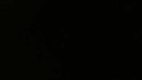 Snapshot of kodiak8807 chatting on February 2026 03:11:02 PM kodiak8807 online show from February 2026 03:11:02 PM
