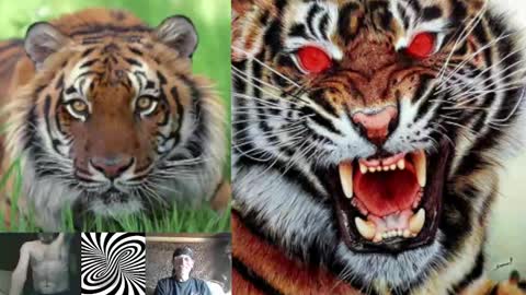 kodiakpm1 online show from February 2025 07:15:02 AM