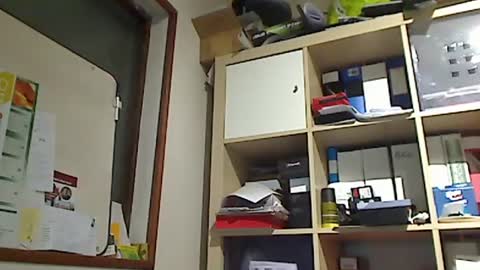 Snapshot of kokin3034 chatting on January 2025 01:20:02 PM kokin3034 online show from January 2025 01:20:02 PM