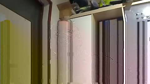 Snapshot of kokin3034 chatting on February 2025 08:40:01 AM kokin3034 online show from February 2025 08:40:01 AM