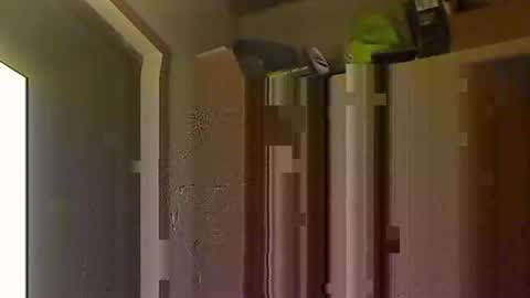 Snapshot of kokin3034 chatting on October 2025 04:43:02 AM kokin3034 online show from October 2025 04:43:02 AM