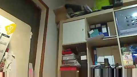 Snapshot of kokin3034 chatting on February 2026 06:01:02 AM kokin3034 online show from February 2026 06:01:02 AM