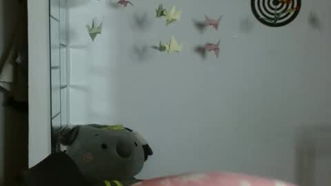 Snapshot of koranikky08 chatting on January 2026 01:11:01 AM Karoll online show from January 2026 01:11:01 AM