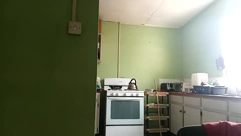 Snapshot of korn4lyfe chatting on March 2025 01:29:01 PM Prince makonnen online show from March 2025 01:29:01 PM