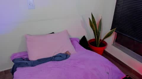 kornicovac online show from December 2024 10:57:02 PM