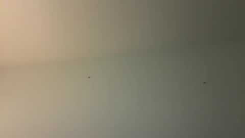 Snapshot of kovapoika chatting on October 2025 10:58:02 AM kovapoika online show from October 2025 10:58:02 AM